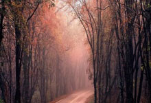 多多28：惜败雷霆后，凯尔特人后续的担忧之处！.