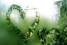 多多28：凯尔特人回敬一波11-2再次反超，扎克·埃迪9分钟4犯.