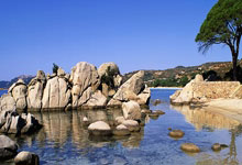 多多28：远藤航：日本的目标是世界杯冠军 久保建英脱衣庆祝染黄没必要.